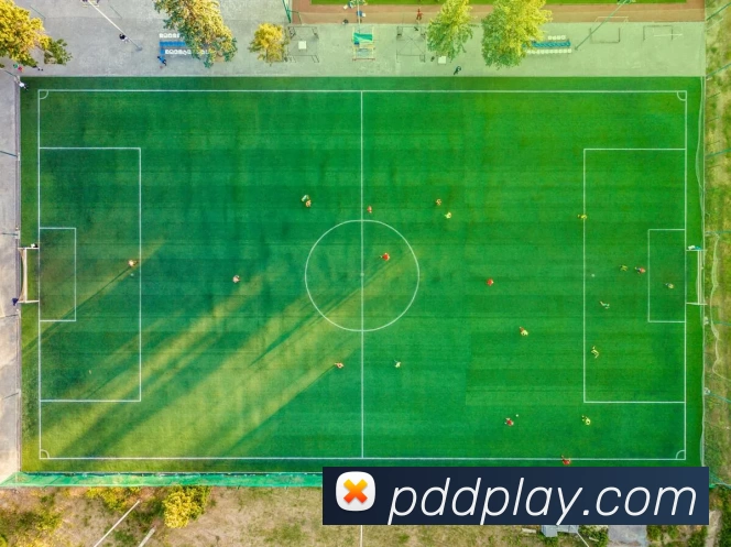 拼多多娱乐城官网发展历程